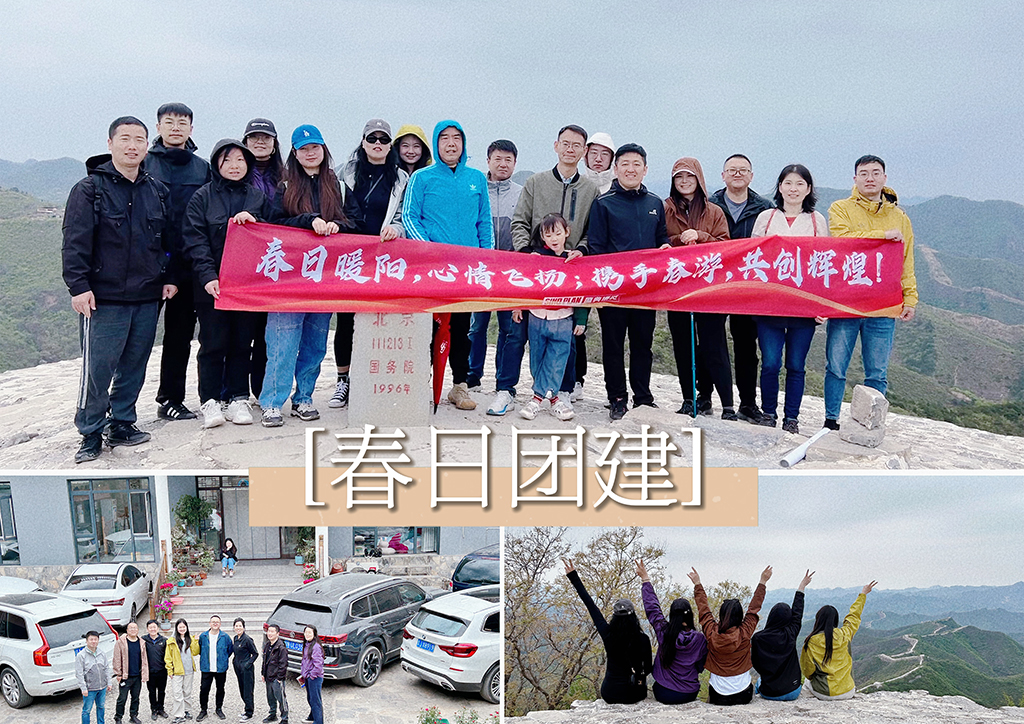 北京盛典博览公司展现企业社会责任，探访流浪狗基地并举办爬山团建